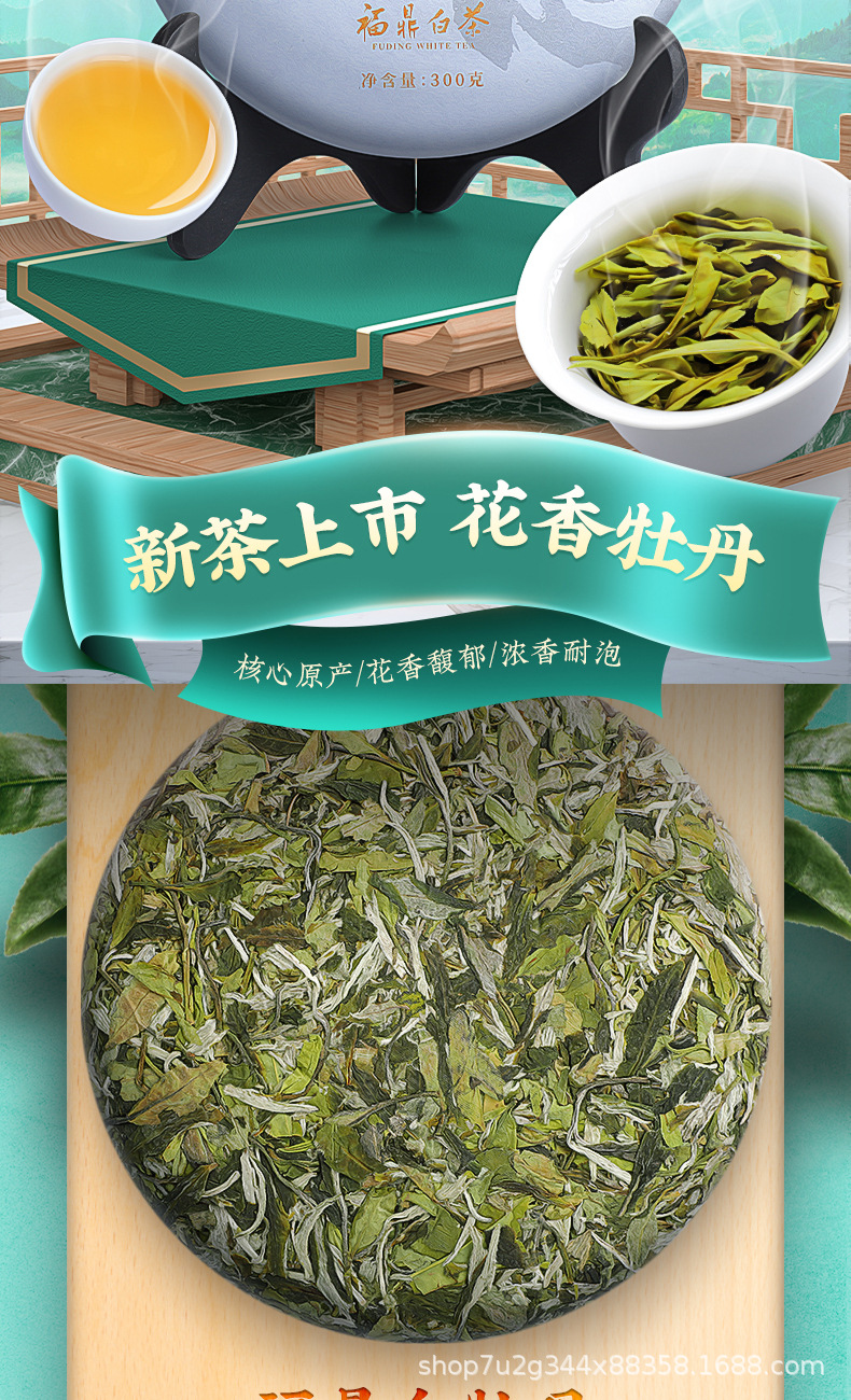 張堅定白牡丹詳情_02.jpg