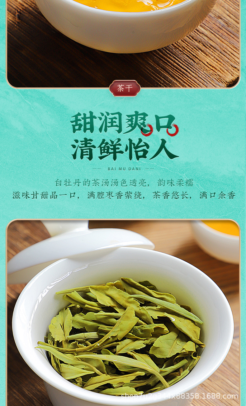 張堅定白牡丹詳情_09.jpg