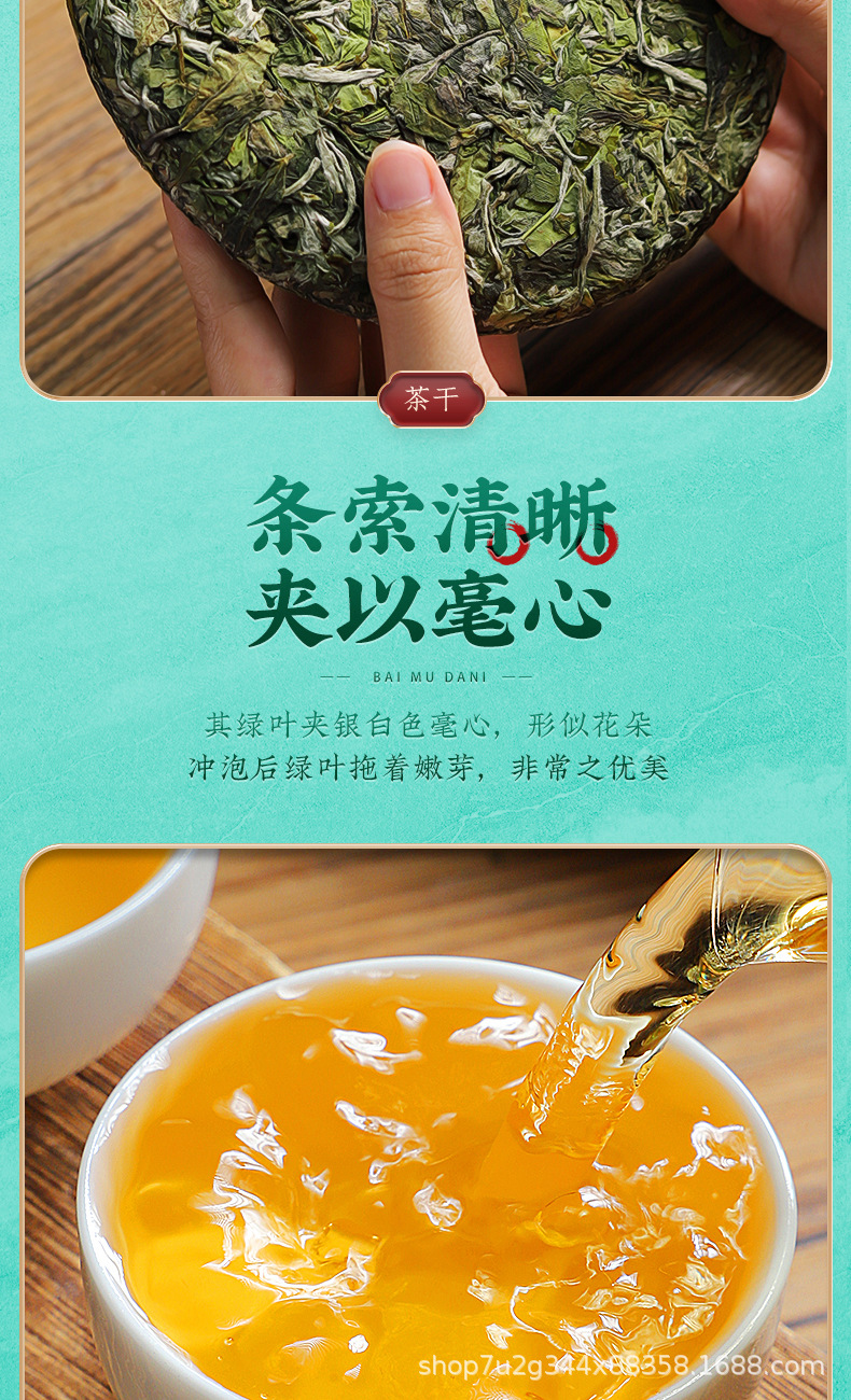 張堅定白牡丹詳情_08.jpg