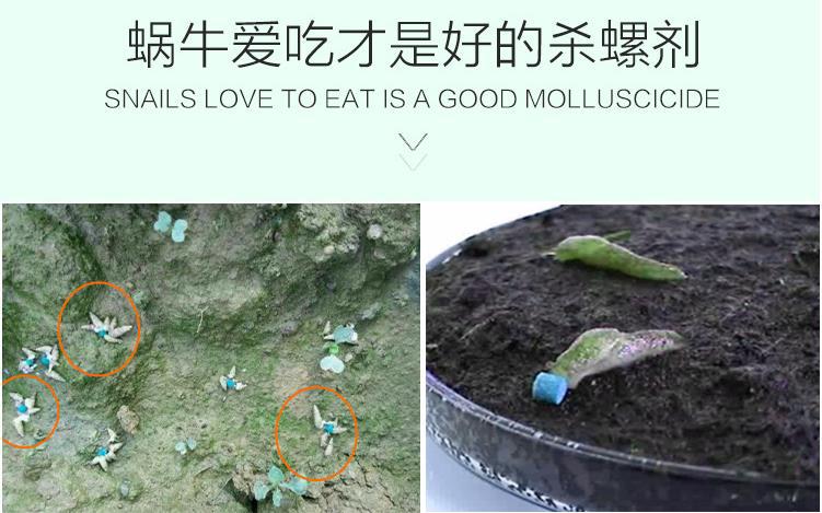 360截圖20191231085125324