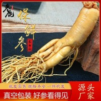 東北特產(chǎn)長白山保鮮人參 新鮮人參煲湯泡酒 廠家直銷規(guī)格齊全