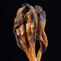 鹿筋批發(fā)干貨鹿筋 東北特產(chǎn)梅花鹿帶蹄鹿蹄筋 泡酒干鹿筋現(xiàn)貨代發(fā)
