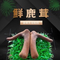 吉林特產(chǎn)鮮鹿茸二杠整支新鮮可連刀可切片泡酒煲湯 鹿鄉(xiāng)鮮鹿茸