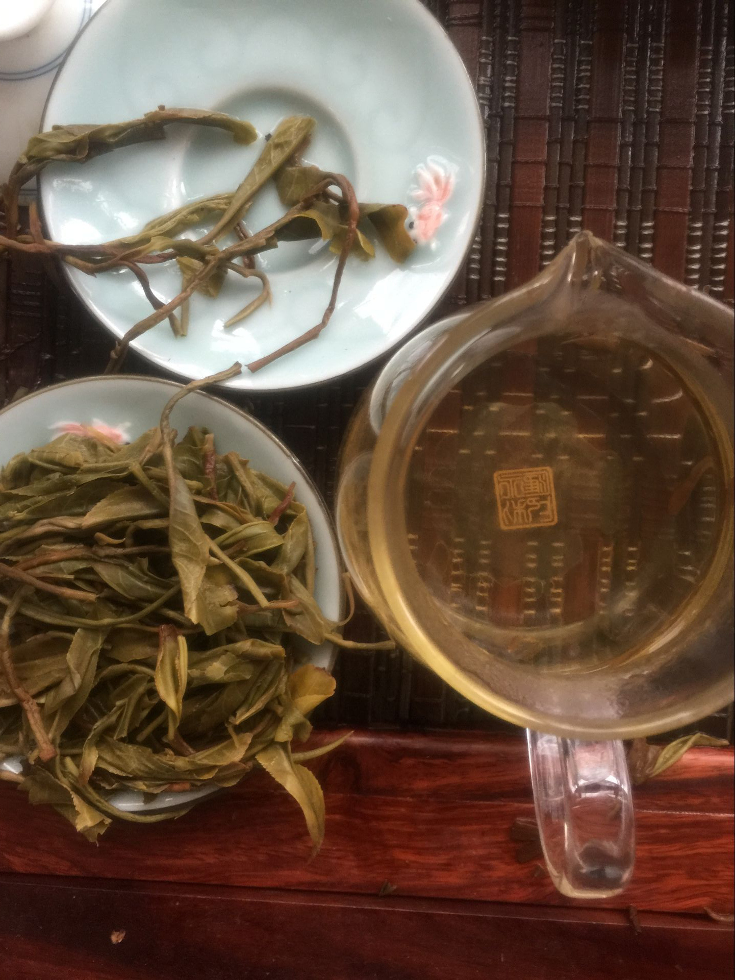 東邦古樹 (5)