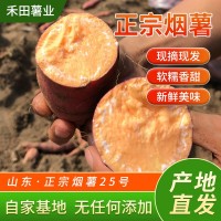 微商電商3兩~6兩山東煙蜜薯25號(hào)煙臺(tái)農(nóng)科院流油紅薯農(nóng)家番薯沙地
