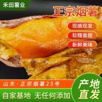 《烤薯規(guī)格》煙薯25號(hào)蜜薯糖心紅薯新鮮番薯農(nóng)家自種沙地唐山地瓜