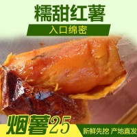 自產(chǎn)自銷(xiāo)唐山煙薯25 流油蜜薯軟糯香甜紅皮紅心煙署地瓜 烤薯