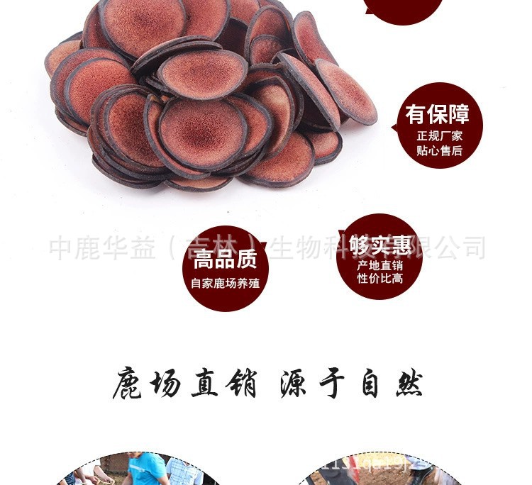 鹿茸紅粉片_07.jpg