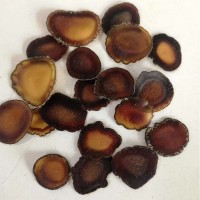 鹿茸片全蠟片含血足營養(yǎng)豐富 吉林長春鹿茸泡水煲湯泡酒1克