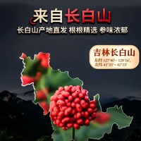 長白山產(chǎn)地批發(fā)特產(chǎn)光枝白參人參白全須送禮500克6年泡酒煲湯白參