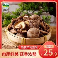 干香菇肉厚東北蘑菇干貨小雞燉蘑菇肉厚農(nóng)家金錢菇食用菌批發(fā)