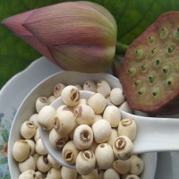 大顆湘潭蓮子干貨500g無芯蓮子米去芯磨皮白蓮子去心湘蓮湖南產(chǎn)地