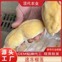 工廠直供速凍榴蓮肉 金枕榴蓮A級 榴蓮肉 榴蓮肉冷凍榴蓮果肉批發(fā)