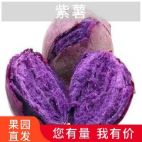 現(xiàn)挖紫薯新鮮10斤地瓜農(nóng)家軟糯山芋沙地紅小紫心蜜薯紫薯一件代發(fā)