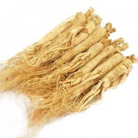 東北特產(chǎn)人參長白山人參干人參白參生曬參禮盒裝林下批發(fā)產(chǎn) 地發(fā)貨
