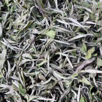 2022年新茶春茶高山白牡丹福建白茶散茶500g裝廠家直銷一件代發(fā)