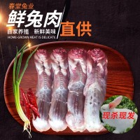 新鮮兔肉生兔肉 冷凍白條兔 去皮去頭去內(nèi)臟兔肉 三斤左右