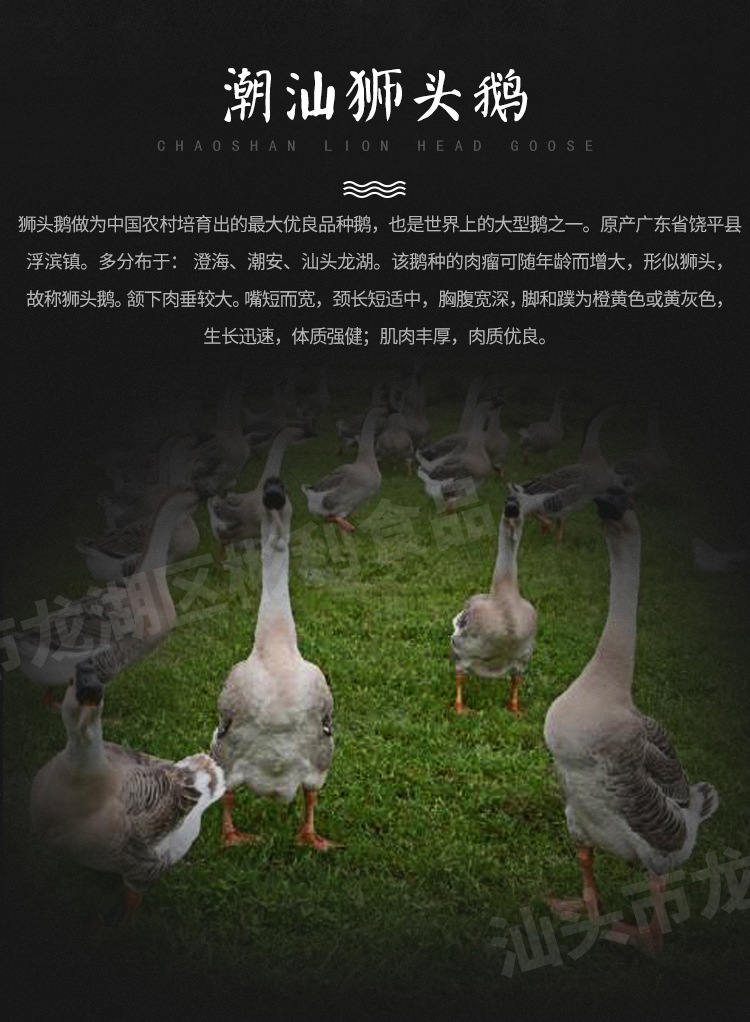 鵝掌_02.jpg