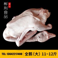 生鮮獅頭鵝全鵝凈重十二三斤 帶翅掌 大鵝 鹵鵝原料 屠宰獅頭鵝