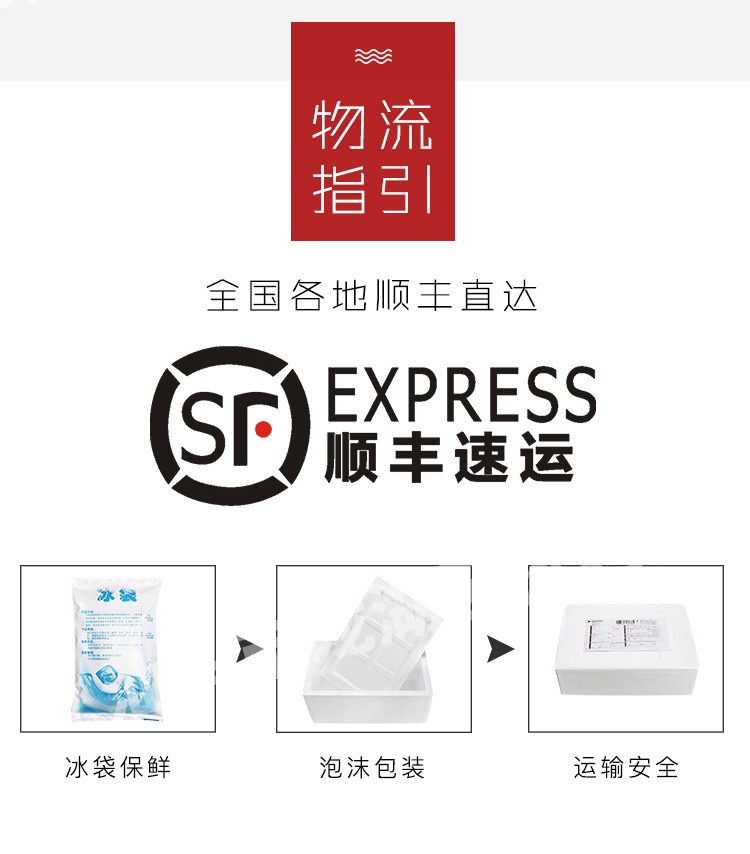 全鵝-小_09.jpg