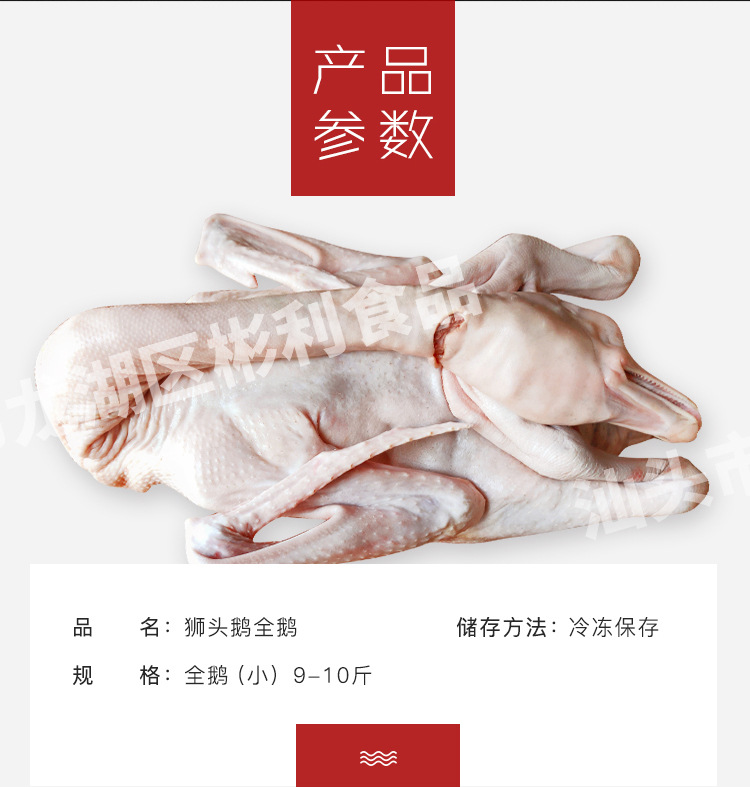 全鵝-小_06.jpg