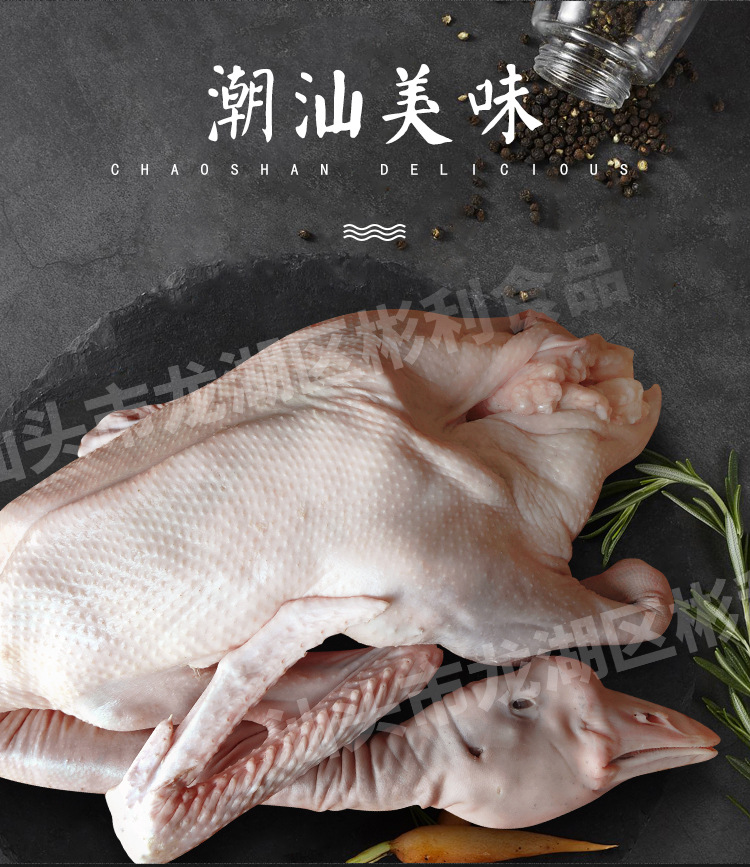 全鵝-小_01.jpg