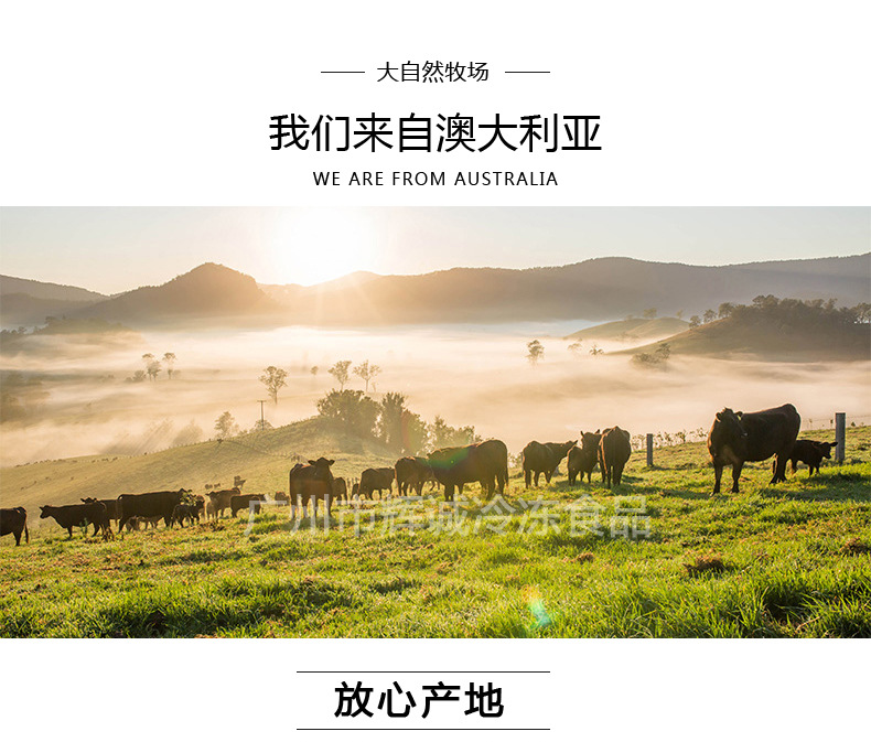 草飼肉眼_01.jpg