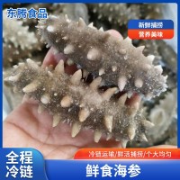 現(xiàn)貨即食海參 遼刺參新鮮鮮活冷凍海參禮盒非干貨野生廠家批發(fā)