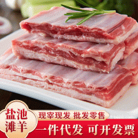 寧夏灘羊肉羊排新鮮現(xiàn)殺羔羊寸排小羊肋排燒烤手抓羊肉包郵