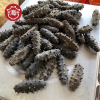 大連遼參 酒店食材海鮮干貨淡干海參干貨 一德路批發(fā) 規(guī)格齊全