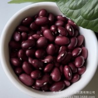 出售金石豆蕓豆2022年產(chǎn)大顆粒金石豆產(chǎn)地新疆顆粒飽滿色選成品質(zhì)