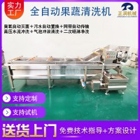 現(xiàn)貨全自動蔬菜清洗機 果蔬清洗風(fēng)干流水線 商用氣泡洗菜機