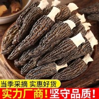 霸源 特產(chǎn)羊肚菌 非野生剪柄煲湯新鮮營養(yǎng)肉厚五沙菌菇類