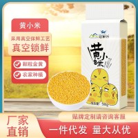 黃小米500g農(nóng)家種植色澤金黃小米五谷雜糧粥粗糧批發(fā)一件代發(fā)