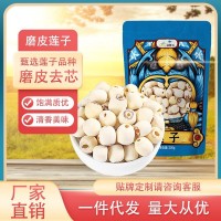 磨皮蓮子批發(fā)廠家直銷通芯新貨干貨大量白蓮子雜糧特產(chǎn)一件代發(fā)