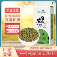 綠豆真空裝新鮮農(nóng)家綠豆糧油顆粒飽滿肉多皮薄五谷雜糧批發(fā)500g
