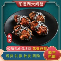 大閘蟹順豐包郵 廠家批發(fā)湖東蟹大閘蟹 公蟹3.6-3.3兩 量大從優(yōu)