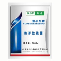 海洋放線菌抑紅弧菌黃弧菌綠弧菌替抗