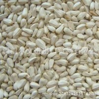 新疆特級(jí)紅花籽 紅花子白瓜籽白瓜 出油率29% 亞油酸79%