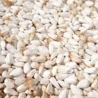 新疆特級(jí)紅花籽 紅花子白瓜籽白瓜 出油率29% 亞油酸79%