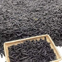 易芝堂愛琴海希臘冰島土耳其海參米黑刺參淡干100頭海參干貨批發(fā)