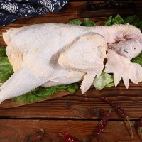 農(nóng)家散養(yǎng)蛋雞老母雞糧食喂養(yǎng)蛋雞老母雞現(xiàn)殺發(fā)貨非冷凍型老母雞