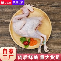 老母雞現(xiàn)殺速凍扒雞熏雞燒雞手撕雞原料廠家大量批發(fā)