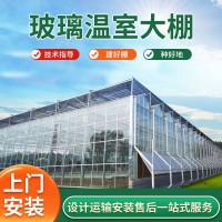 農(nóng)業(yè)玻璃溫室大棚陽(yáng)光生態(tài)餐廳溫室花卉養(yǎng)殖展廳大棚溫室種植大棚