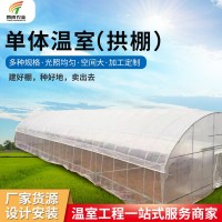 陽光單體薄膜溫室大棚 農(nóng)業(yè)種植養(yǎng)殖溫室大棚 薄膜溫室單體大棚