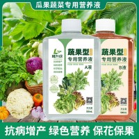 果蔬植物營(yíng)養(yǎng)液AB液葉菜瓜果類家用園藝蔬菜專用營(yíng)養(yǎng)液促花保果實(shí)