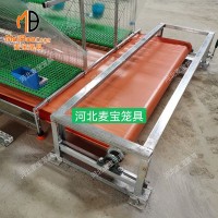 自動化清糞設(shè)備輸送帶 兔舍傳送帶清糞機(jī) 履帶清糞兔籠設(shè)備
