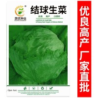 廠家批發(fā)菜園蔬菜種子 結球西生菜約2000粒 盆栽陽臺院子種子菜籽