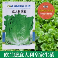 歐蘭德意大利皇家生菜種子批發(fā)半結球緊湊直立生菜種菜籽支持代發(fā)