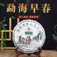 云南茶樹(shù)王勐海普洱早春生茶357g餅茶糯山七子餅茶廠家現(xiàn)貨批發(fā)